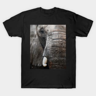 Elephant T-Shirt